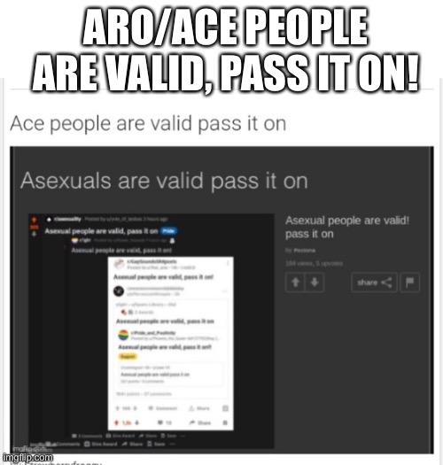 ARO/ACE PEOPLE ARE VALID, PASS IT ON! | image tagged in blank white template | made w/ Imgflip meme maker