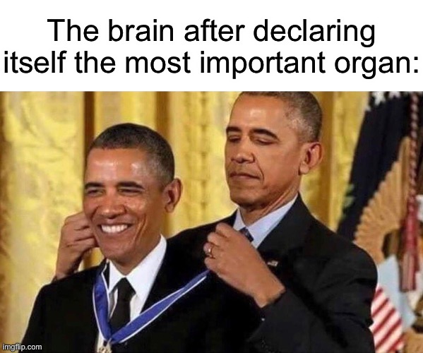 Big brain | The brain after declaring itself the most important organ: | image tagged in obama medal | made w/ Imgflip meme maker