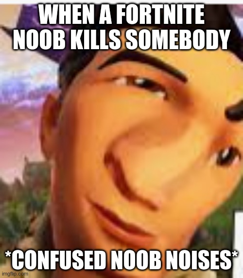 Fortinte in a nutshell | WHEN A FORTNITE NOOB KILLS SOMEBODY; *CONFUSED NOOB NOISES* | image tagged in fortnite in a nutshell | made w/ Imgflip meme maker