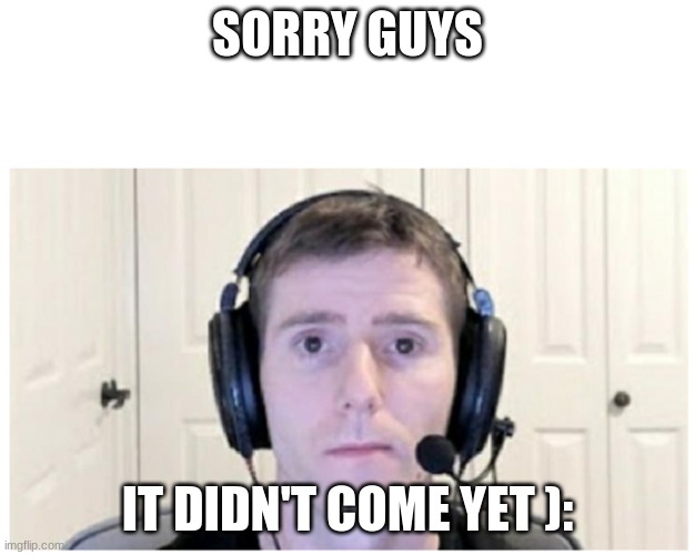 Sad Linus | SORRY GUYS; IT DIDN'T COME YET ): | image tagged in sad linus | made w/ Imgflip meme maker