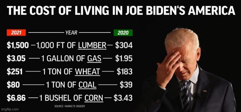 I diDN't VOte FoR thIS!!  (Yeah, you kinda did) | image tagged in biden | made w/ Imgflip meme maker