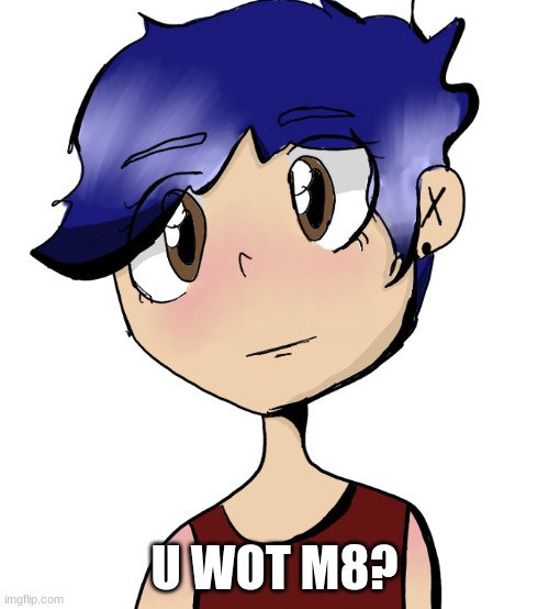 summer honu | U WOT M8? | image tagged in summer honu | made w/ Imgflip meme maker