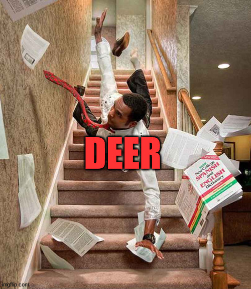 Falling down the stairs | DEER | image tagged in falling down the stairs | made w/ Imgflip meme maker