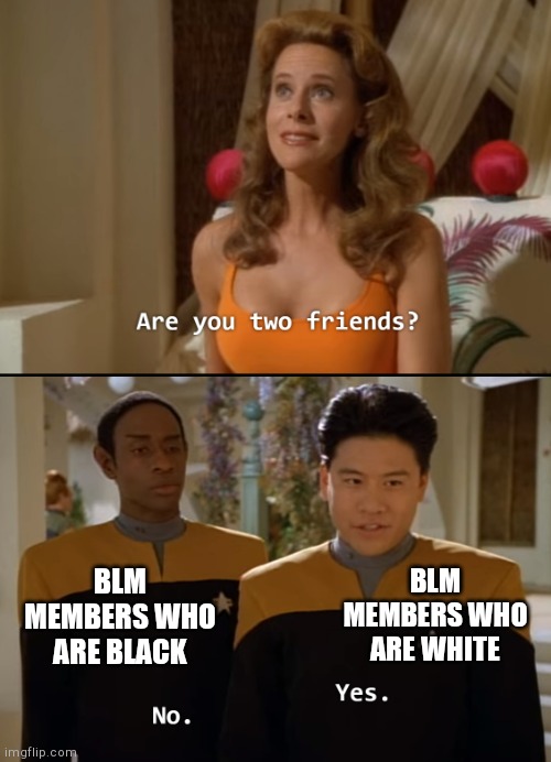Are you friends? | BLM MEMBERS WHO ARE WHITE; BLM MEMBERS WHO ARE BLACK | image tagged in are you friends | made w/ Imgflip meme maker