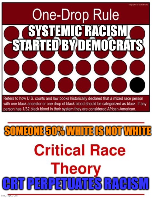 CRT divides America by design | SYSTEMIC RACISM STARTED BY DEMOCRATS; SOMEONE 50% WHITE IS NOT WHITE; CRT PERPETUATES RACISM | image tagged in one drop rule,democrats,racism | made w/ Imgflip meme maker
