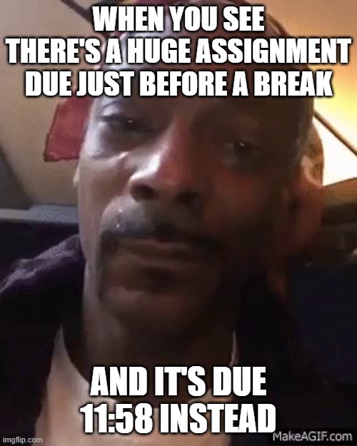 True omg ? | WHEN YOU SEE THERE'S A HUGE ASSIGNMENT DUE JUST BEFORE A BREAK; AND IT'S DUE 11:58 INSTEAD | image tagged in snoop dogg,sad | made w/ Imgflip meme maker