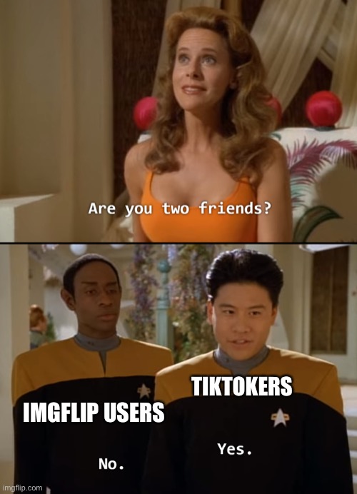 Are you friends? | TIKTOKERS; IMGFLIP USERS | image tagged in are you friends | made w/ Imgflip meme maker