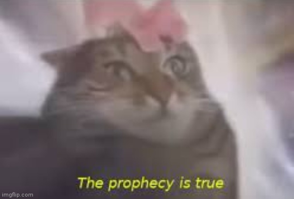 The prophecy is true | image tagged in the prophecy is true | made w/ Imgflip meme maker