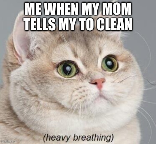 Heavy Breathing Cat | ME WHEN MY MOM TELLS MY TO CLEAN | image tagged in memes,heavy breathing cat | made w/ Imgflip meme maker