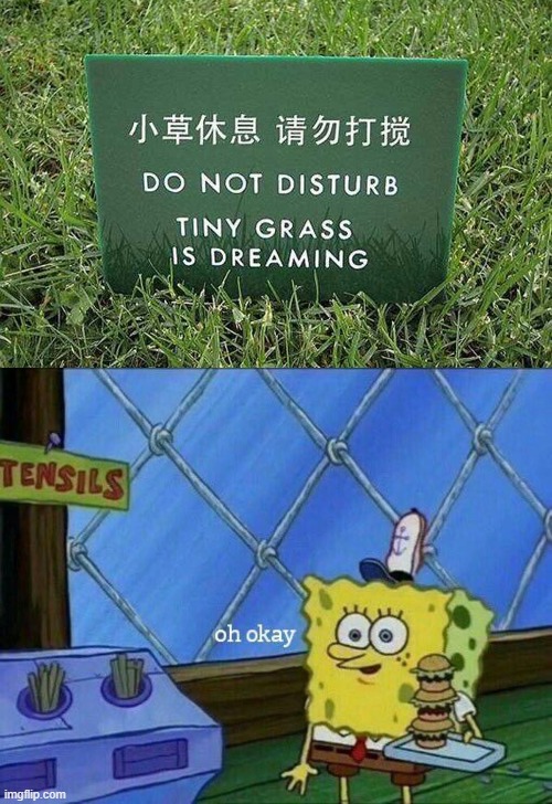 tiny grass is dreaming | image tagged in oh okay,barney will eat all of your delectable biscuits,why are you reading this | made w/ Imgflip meme maker