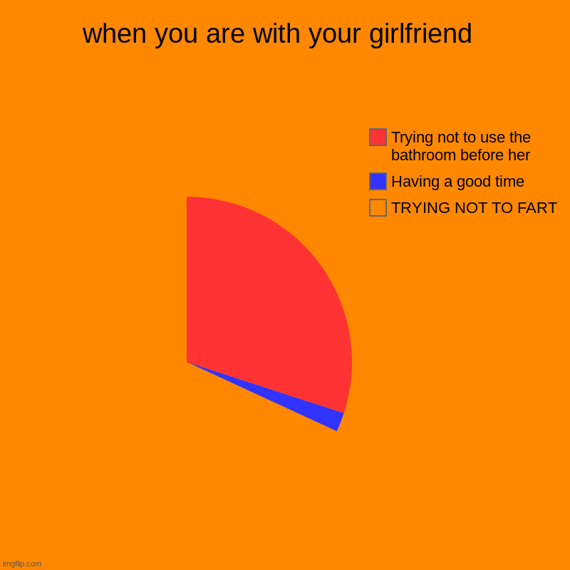 when you are with your girlfriend  | TRYING NOT TO FART, Having a good time, Trying not to use the bathroom before her | image tagged in charts,pie charts | made w/ Imgflip chart maker