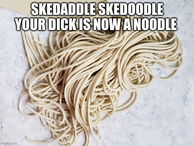 SKEDADDLE SKEDOODLE YOUR DICK IS NOW A NOODLE | image tagged in noodle | made w/ Imgflip meme maker