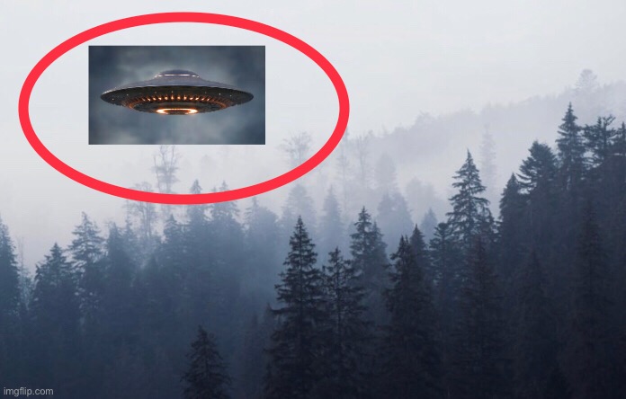 Everyone look I found a ufo this is so unbelievable | image tagged in memes,funny,funny memes,ufo,fake,forest | made w/ Imgflip meme maker