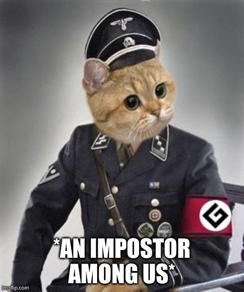 Grammar Nazi Cat | *AN IMPOSTOR AMONG US* | image tagged in grammar nazi cat | made w/ Imgflip meme maker