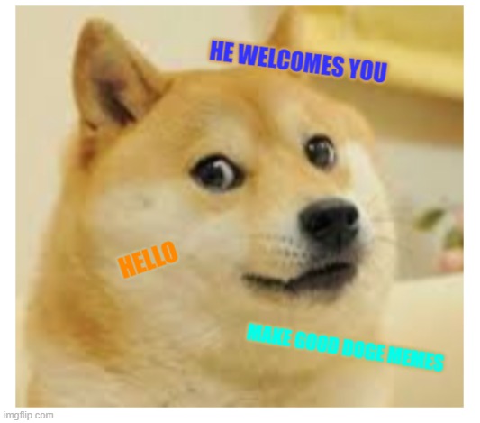 say hi to welcome doge | image tagged in welcome,doge | made w/ Imgflip meme maker