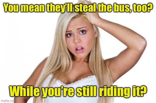 Dumb Blonde | You mean they’ll steal the bus, too? While you’re still riding it? | image tagged in dumb blonde | made w/ Imgflip meme maker