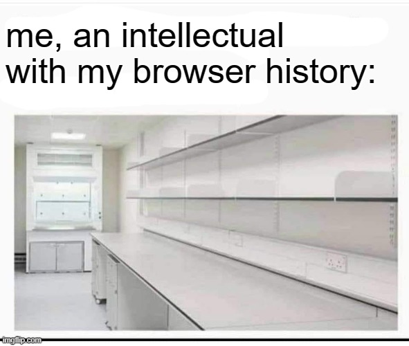 Guys browser history | me, an intellectual with my browser history: | image tagged in guys browser history | made w/ Imgflip meme maker