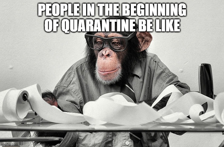 Bad time to post this |  PEOPLE IN THE BEGINNING OF QUARANTINE BE LIKE | image tagged in monkey business,quarantine,so true memes | made w/ Imgflip meme maker