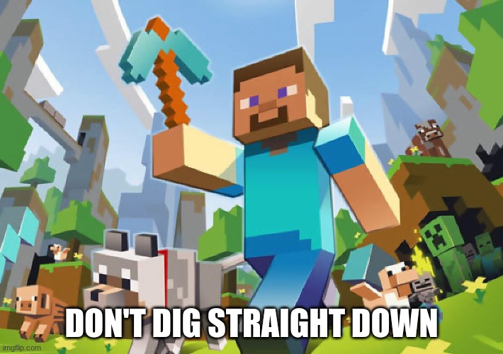 Minecraft  | DON'T DIG STRAIGHT DOWN | image tagged in minecraft | made w/ Imgflip meme maker