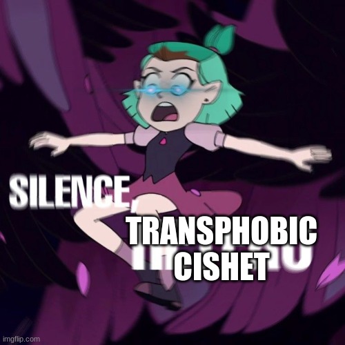 silence hetero | TRANSPHOBIC CISHET | image tagged in silence hetero | made w/ Imgflip meme maker