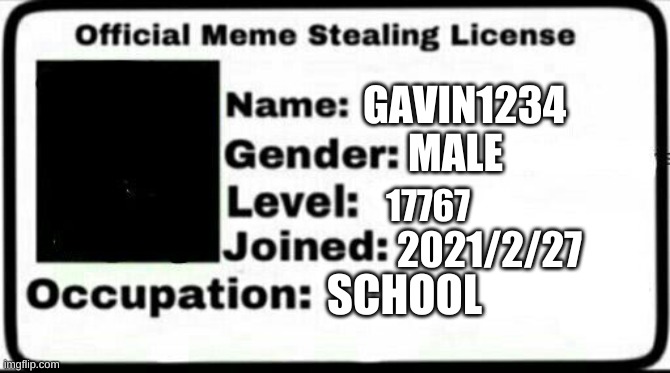 Meme Stealing License | GAVIN1234; MALE; 17767; 2021/2/27; SCHOOL | image tagged in meme stealing license | made w/ Imgflip meme maker
