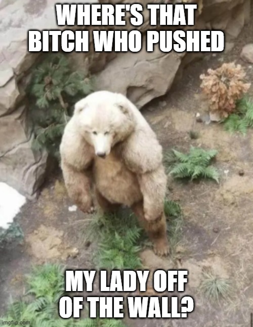 mad bear | WHERE'S THAT BITCH WHO PUSHED; MY LADY OFF OF THE WALL? | image tagged in bear | made w/ Imgflip meme maker