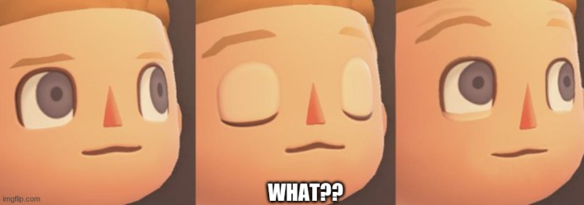 What??? | WHAT?? | image tagged in animal crossing | made w/ Imgflip meme maker