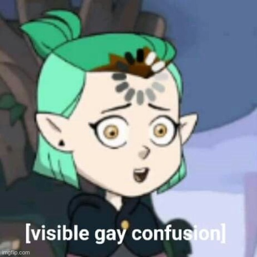 visible gay confusion | image tagged in visible gay confusion | made w/ Imgflip meme maker