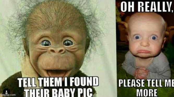 Baby say what now?! | image tagged in funny,funny memes,baby meme | made w/ Imgflip meme maker