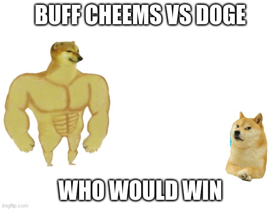 Blank White Template | BUFF CHEEMS VS DOGE; WHO WOULD WIN | image tagged in blank white template | made w/ Imgflip meme maker
