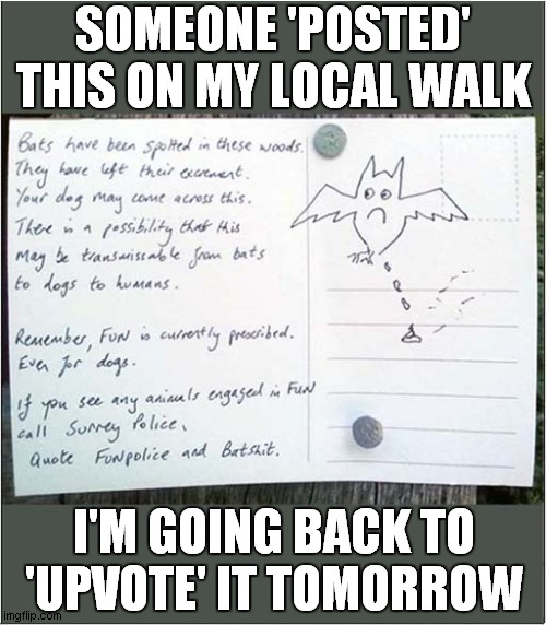No Prescibed Fun For Dogs ? | SOMEONE 'POSTED' THIS ON MY LOCAL WALK; I'M GOING BACK TO 'UPVOTE' IT TOMORROW | image tagged in fun,dogs,bats | made w/ Imgflip meme maker