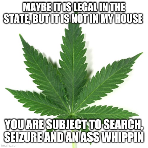 Marijuana leaf | MAYBE IT IS LEGAL IN THE STATE, BUT IT IS NOT IN MY HOUSE; YOU ARE SUBJECT TO SEARCH, SEIZURE AND AN ASS WHIPPIN | image tagged in marijuana leaf | made w/ Imgflip meme maker