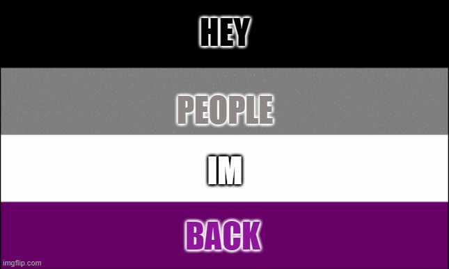 hi | HEY; PEOPLE; IM; BACK | image tagged in ace flag | made w/ Imgflip meme maker