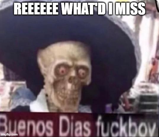 REEEEEE WHAT'D I MISS | made w/ Imgflip meme maker
