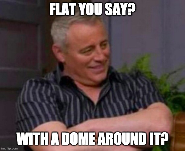 My first meme. I'm very proud | FLAT YOU SAY? WITH A DOME AROUND IT? | image tagged in matt leblanc | made w/ Imgflip meme maker