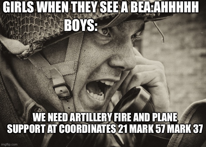 WW2 US Soldier yelling radio | GIRLS WHEN THEY SEE A BEA:AHHHHH; BOYS:; WE NEED ARTILLERY FIRE AND PLANE SUPPORT AT COORDINATES 21 MARK 57 MARK 37 | image tagged in ww2 us soldier yelling radio | made w/ Imgflip meme maker
