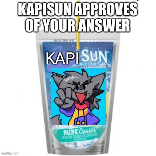 Kapisun | KAPISUN APPROVES OF YOUR ANSWER | image tagged in kapisun | made w/ Imgflip meme maker