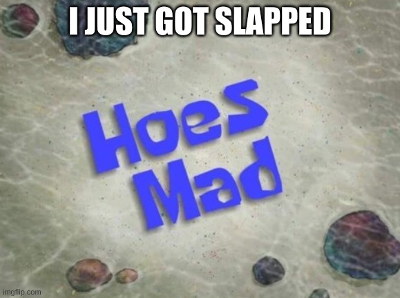 in dms, not irl | I JUST GOT SLAPPED | image tagged in hoes mad | made w/ Imgflip meme maker