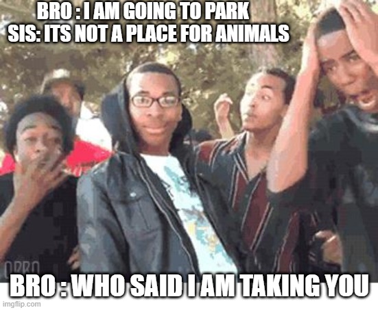 park |  BRO : I AM GOING TO PARK                        SIS: ITS NOT A PLACE FOR ANIMALS; BRO : WHO SAID I AM TAKING YOU | image tagged in oooohhhh | made w/ Imgflip meme maker