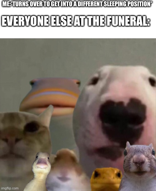 I know this joke is unoriginal. (Template belongs to the lovely Cera. | ME:*TURNS OVER TO GET INTO A DIFFERENT SLEEPING POSITION*; EVERYONE ELSE AT THE FUNERAL: | image tagged in the council remastered,old joke,funeral | made w/ Imgflip meme maker