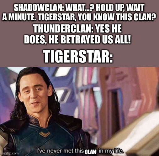 I Have Never Met This Man In My Life | SHADOWCLAN: WHAT...? HOLD UP, WAIT A MINUTE. TIGERSTAR, YOU KNOW THIS CLAN? THUNDERCLAN: YES HE DOES, HE BETRAYED US ALL! TIGERSTAR:; CLAN | image tagged in i have never met this man in my life | made w/ Imgflip meme maker