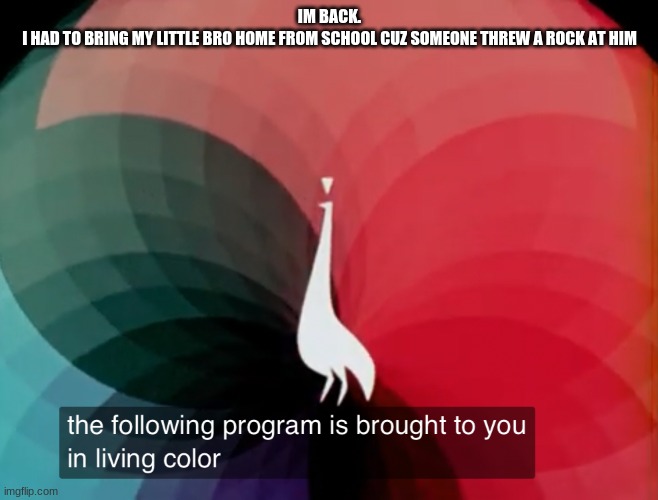 The following program is brought to you in living color | IM BACK.
I HAD TO BRING MY LITTLE BRO HOME FROM SCHOOL CUZ SOMEONE THREW A ROCK AT HIM | image tagged in the following program is brought to you in living color | made w/ Imgflip meme maker