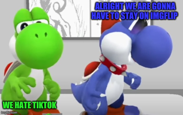 Yoshi & Boshi | ALRIGHT WE ARE GONNA HAVE TO STAY ON IMGFLIP; WE HATE TIKTOK | image tagged in yoshi boshi | made w/ Imgflip meme maker