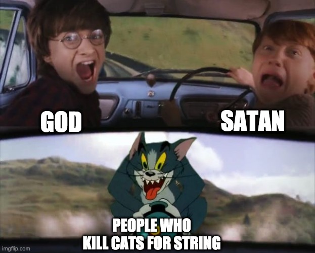 Tom chasing Harry and Ron Weasly | SATAN; GOD; PEOPLE WHO KILL CATS FOR STRING | image tagged in tom chasing harry and ron weasly | made w/ Imgflip meme maker