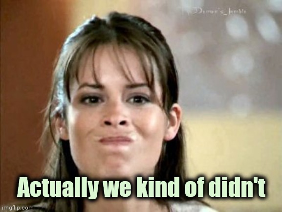 mmm not really... | Actually we kind of didn't | image tagged in mmm not really | made w/ Imgflip meme maker