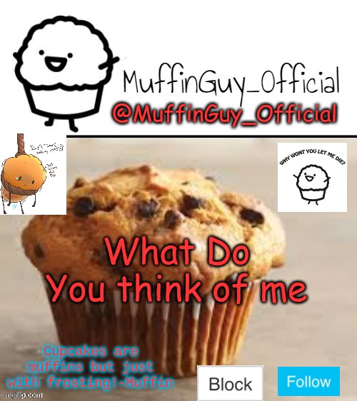 ???? | What Do You think of me | image tagged in muffinguy_official's template | made w/ Imgflip meme maker