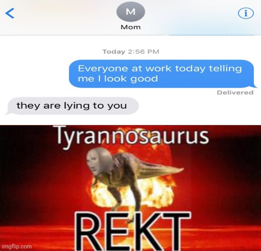 Ooooooh, rekt | image tagged in tyrannosaurus rekt,roasts,roast,funny,memes,text messages | made w/ Imgflip meme maker