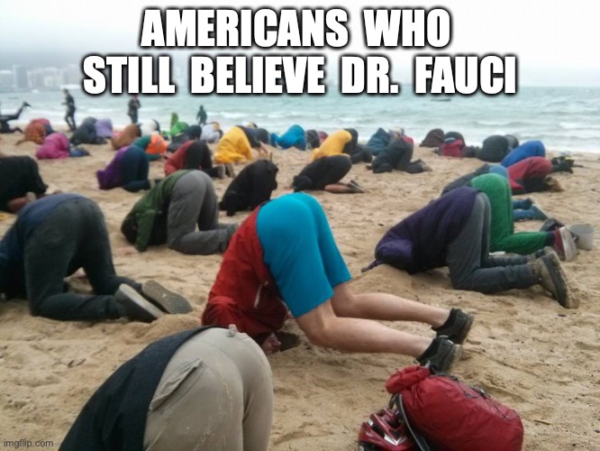 AMERICANS  WHO  STILL  BELIEVE  DR.  FAUCI | image tagged in dr fauci,covid | made w/ Imgflip meme maker