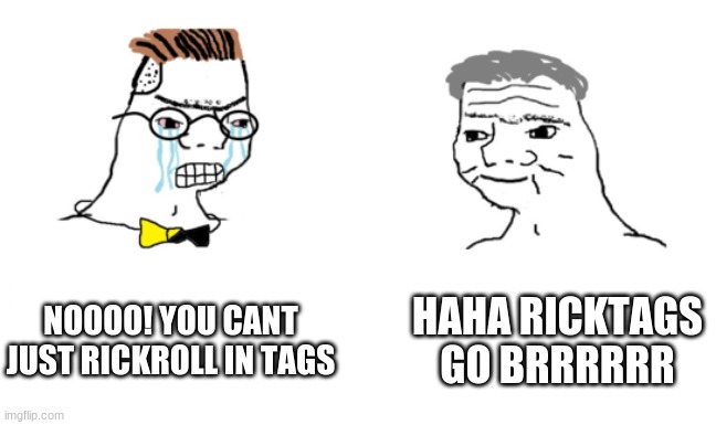 noooo you can't just | NOOOO! YOU CANT JUST RICKROLL IN TAGS HAHA RICKTAGS GO BRRRRRR | image tagged in noooo you can't just | made w/ Imgflip meme maker