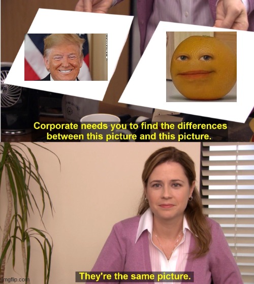 They're The Same Picture Meme | image tagged in memes,they're the same picture | made w/ Imgflip meme maker